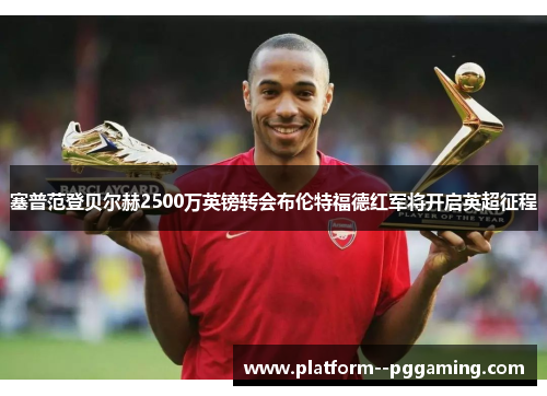 塞普范登贝尔赫2500万英镑转会布伦特福德红军将开启英超征程 塞普范登贝尔赫2500万英镑转会布伦特福德红军将开启英超征程